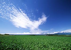 静岡焼津市にある富士葬祭焼津|家族葬・お別れ式・火葬をご案内