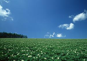 静岡県浜松市中央区に新しくオープンした家族葬のタクセル豊町:低価格・高品質な葬儀サービスを提供