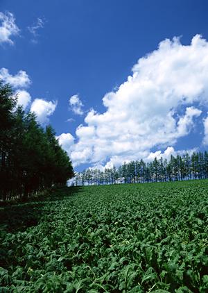 静岡県富士宮市の家族葬専門斎場|家族葬のタクセル光町の特徴とサービス概要