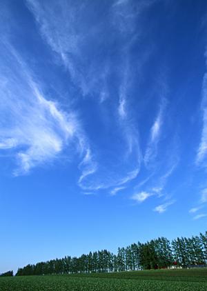 静岡県焼津市に新たにオープンした家族葬専門斎場【家族葬のタクセル焼津】の魅力とサービス紹介