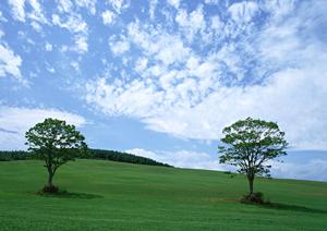 静岡市清水区の家族葬専門斎場【家族葬のタクセル東大曲】|安心・低価格・完全貸切の葬儀サービス
