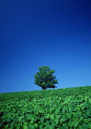 浜松市で安心の葬儀を提供する富士葬祭 高林の全般情報と特徴解説