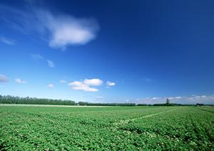 静岡県藤枝市の家族葬と葬儀場の総合ガイド ? 富士葬祭 藤枝の特徴と利用法