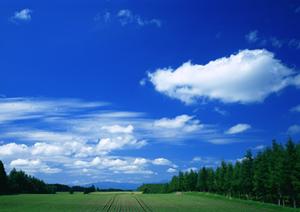 静岡市の家族葬・一般葬に対応した高級感漂う葬儀場【富士葬祭 清水有東坂】の特徴と店舗情報
