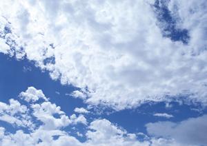 荒川区の信頼と実績を誇る葬儀相談サロン「ティア町屋」:安心・安心の家族葬をサポート