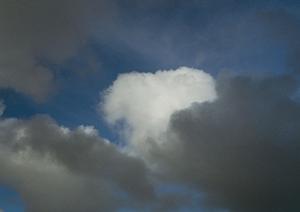 静岡県の家族葬サポート|低価格で信頼できる葬儀サービスのご案内