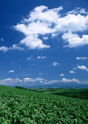 静岡市の家族葬や一般葬に最適な葬祭場【富士葬祭みずほ】の詳細ガイド